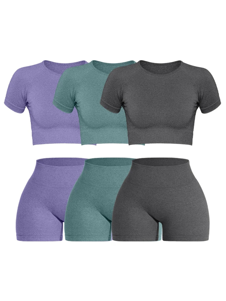 FlexFit Seamless – Conjunto Fitness Feminino 2 Peças em Tricô Canelado Sem Costura