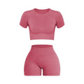 FlexFit Seamless – Conjunto Fitness Feminino 2 Peças em Tricô Canelado Sem Costura