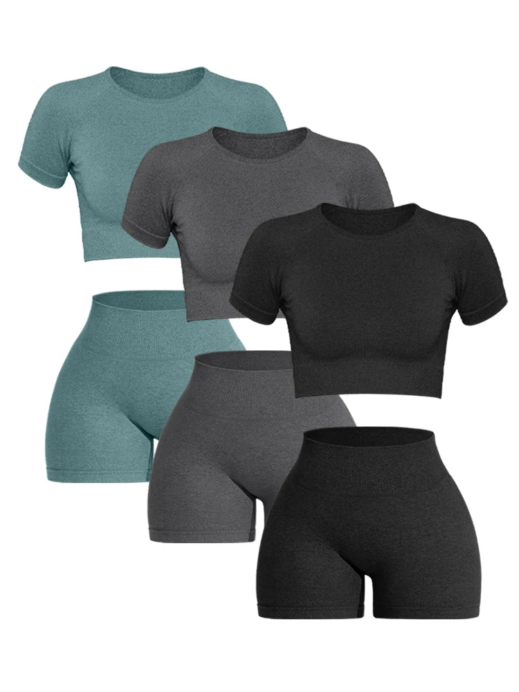 FlexFit Seamless – Conjunto Fitness Feminino 2 Peças em Tricô Canelado Sem Costura